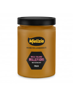 Wildflower Honey - 700g Jar