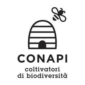 logo-conapi